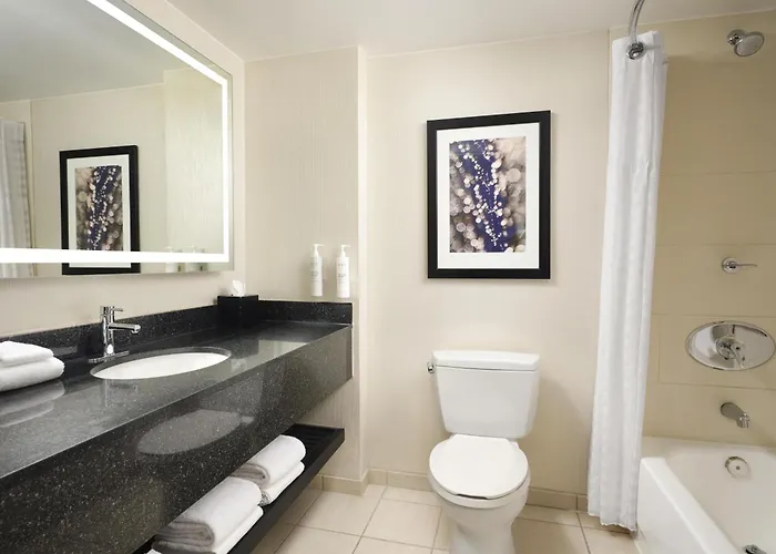 Hotel Embassy By Hilton Downtown Magnificent Mile 4*