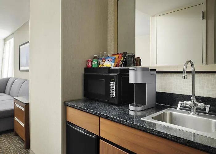 Embassy By Hilton Downtown Magnificent Mile 4* Chicago